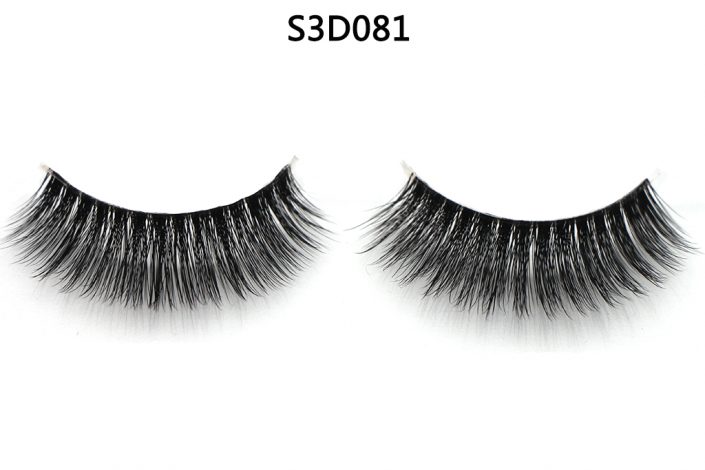 S3D081