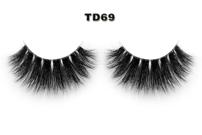 TD69-1