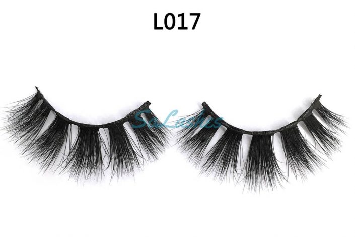 L017 (1)