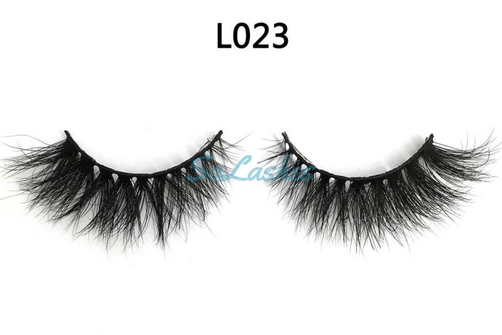 L023 (1)