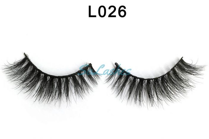 L026 (1)