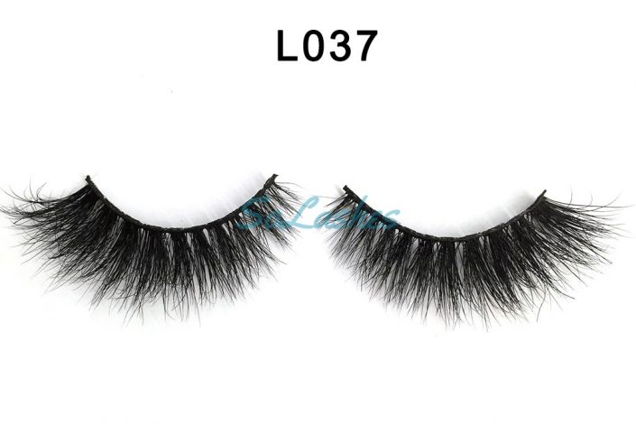 L037 (1)